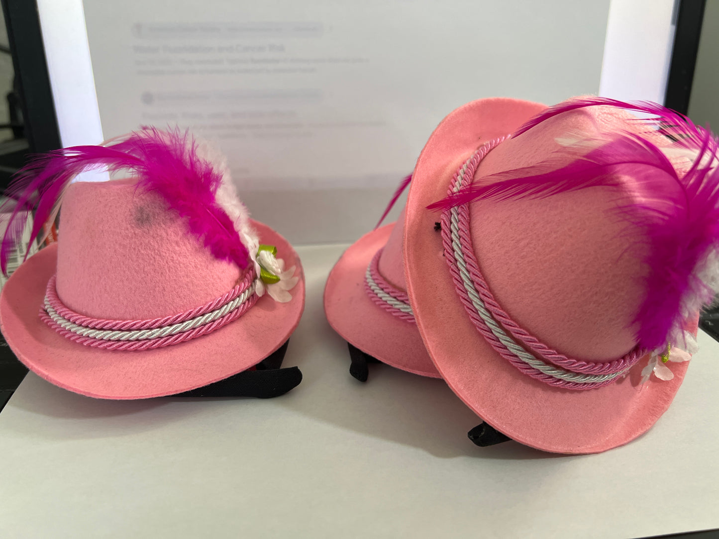 3 Mini Pink Fest Hats